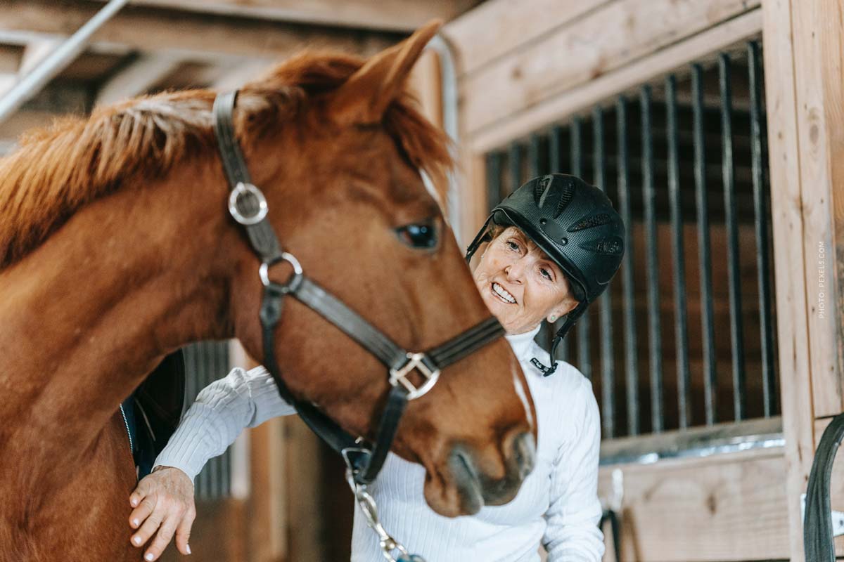 Pferd beißt Hund: Was zahlt die Pferdehaftpflicht?