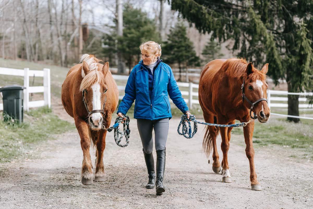 Pferd tritt Person: Haftung und Versicherungsleistung