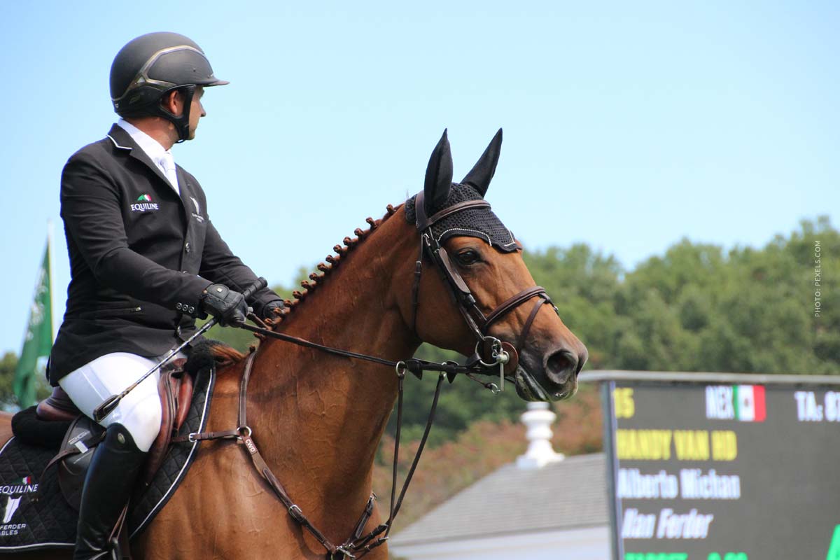 Pferd beschädigt Auto: Was zahlt die Haftpflicht?