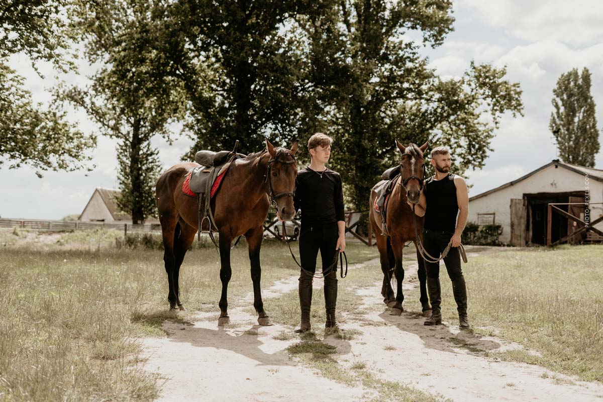 Pferd auf Nachbars Weide: Flurschäden und Haftung