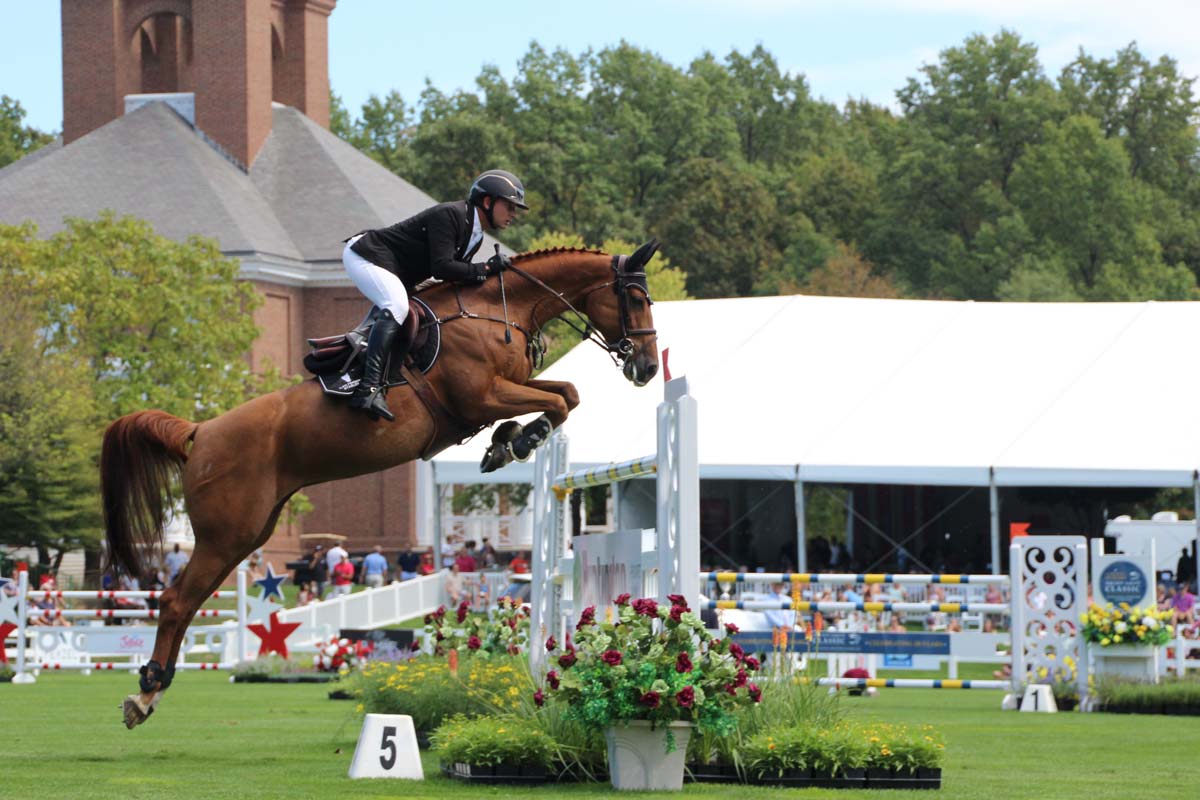 Reiten im Wald: Unfall und Haftung — was gilt?