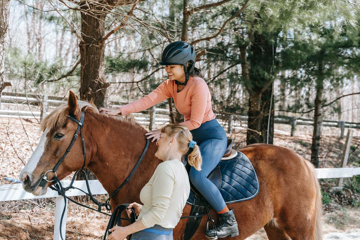 Pferd bei Turnier: Schadensfälle und Haftung